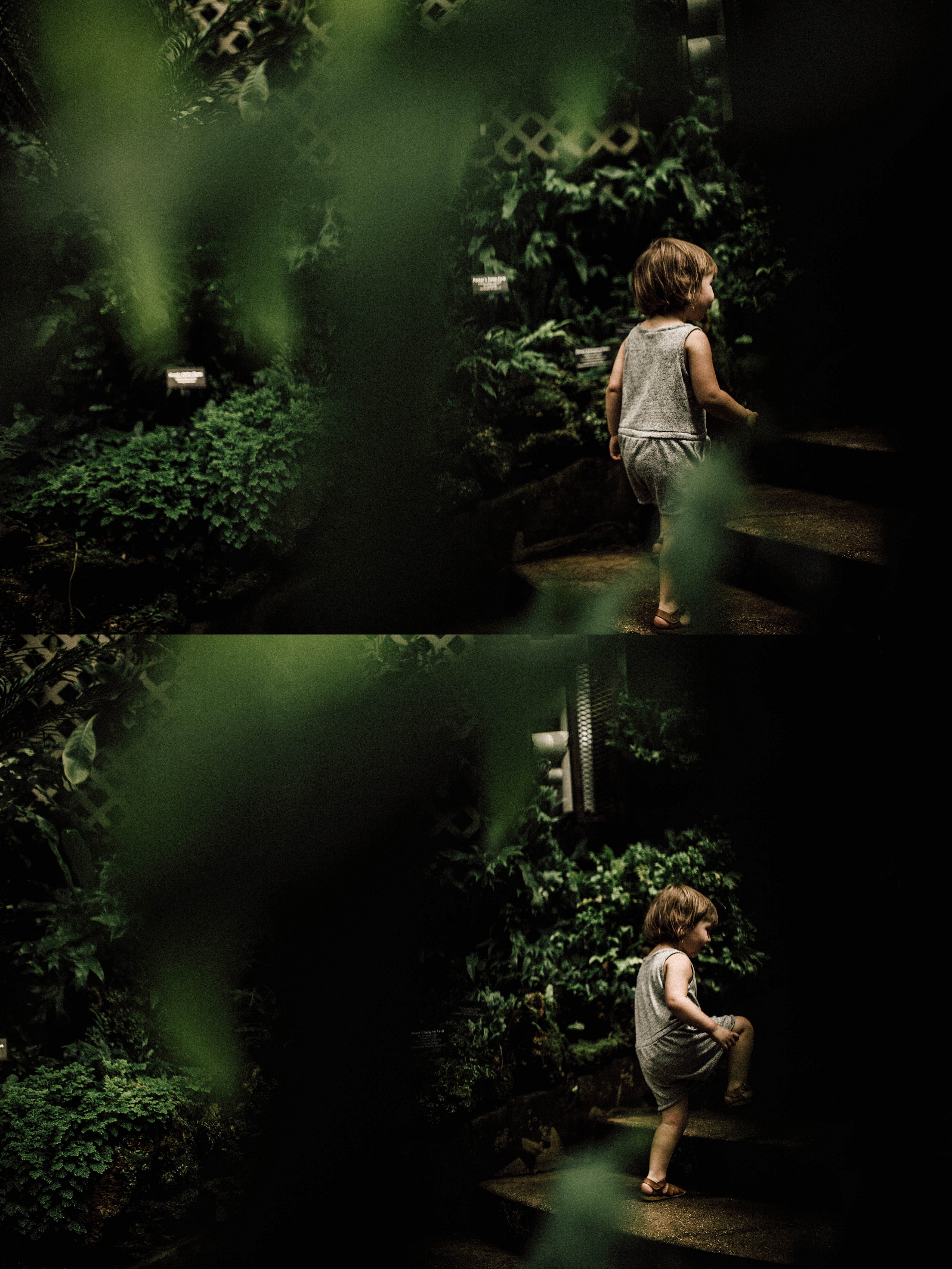 Lincoln Park Conservatory Photos | Chicago Family Storytelling