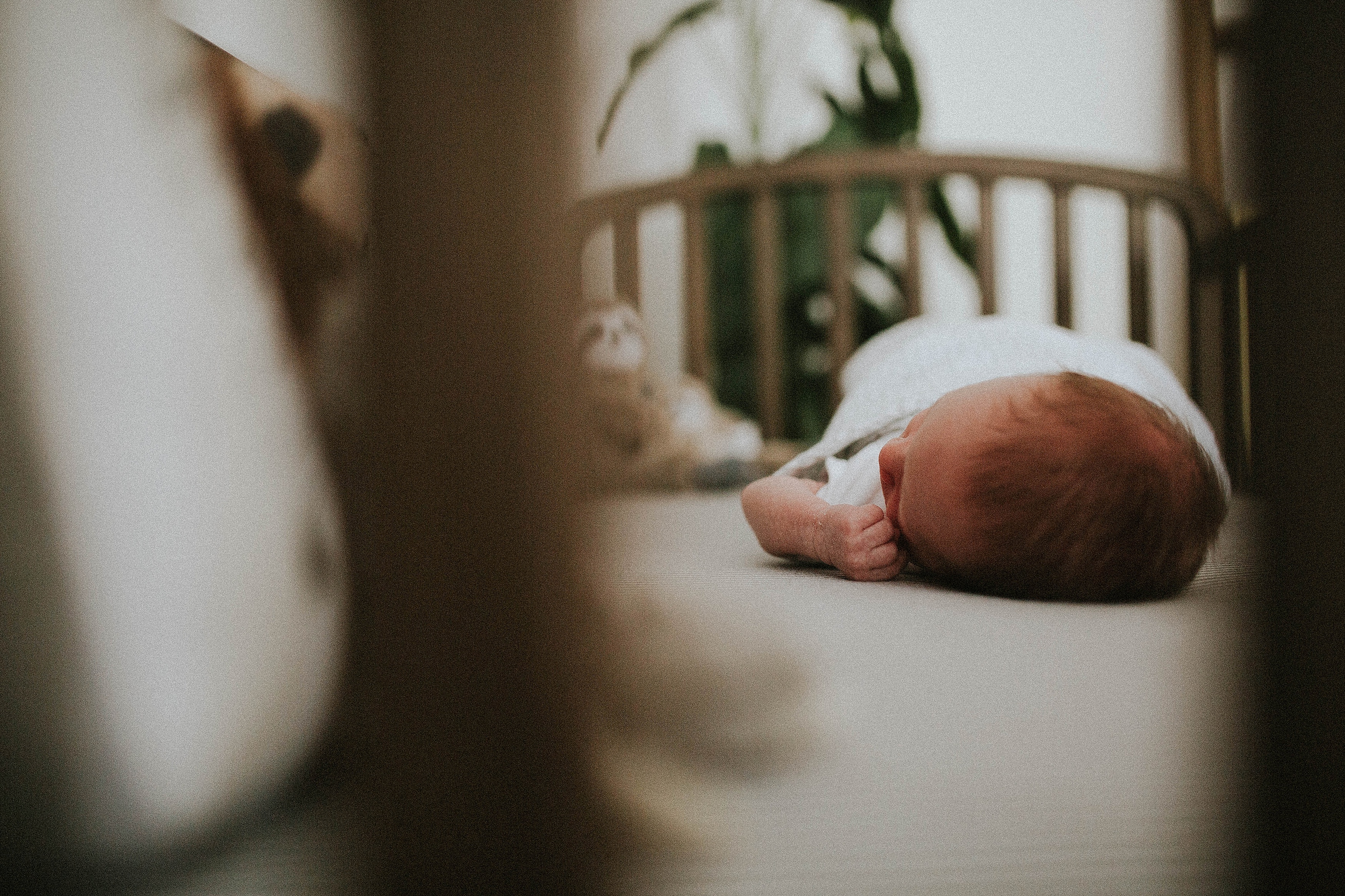 Lombard newborn photography | Baby Henry & Pugs at Home