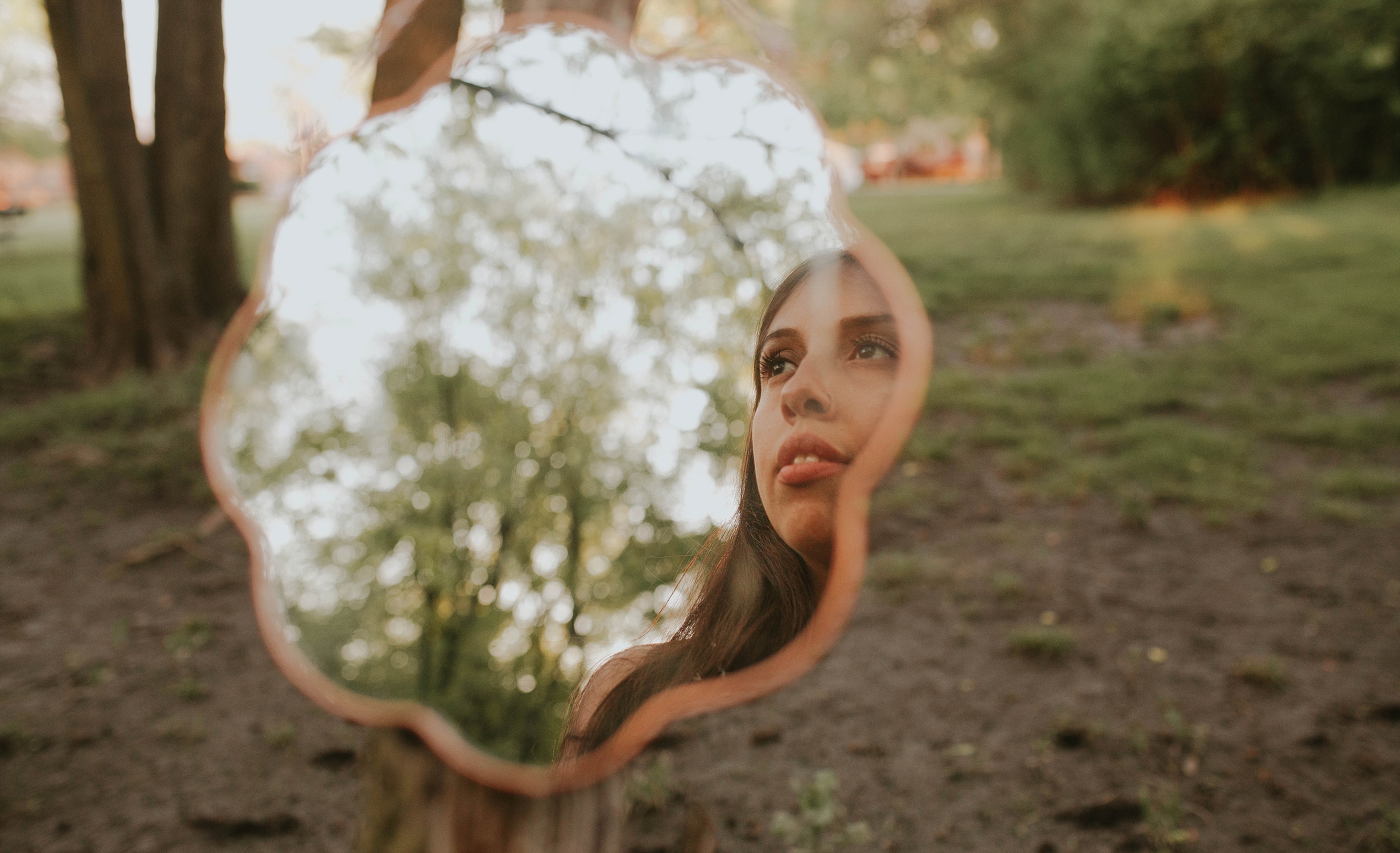 Forest Park Family Life | Growth in the Dandelion Fields